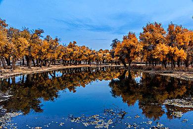 《吸血鬼：避世血族2》新预告 展示Tremere氏族角色